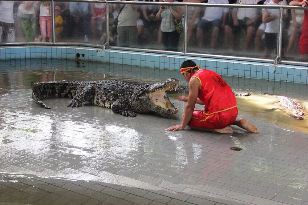 Изображение 615.jpg