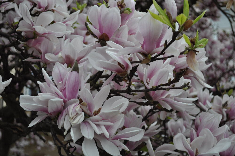 вояж 2013  (3543).jpg