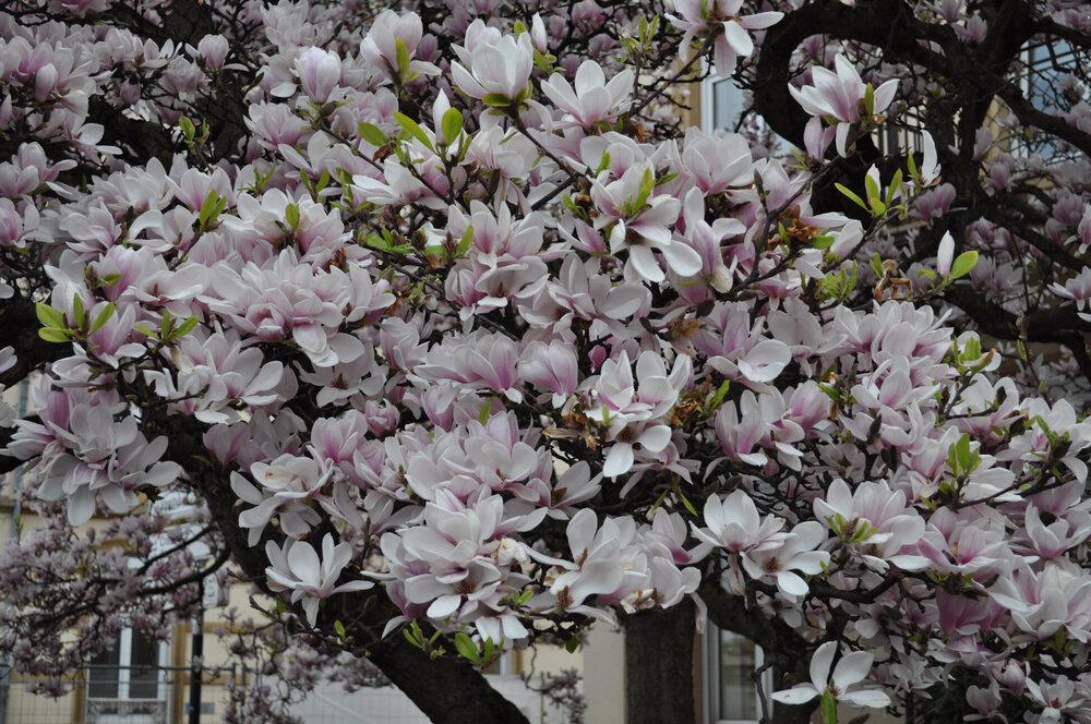 вояж 2013  (3541).jpg