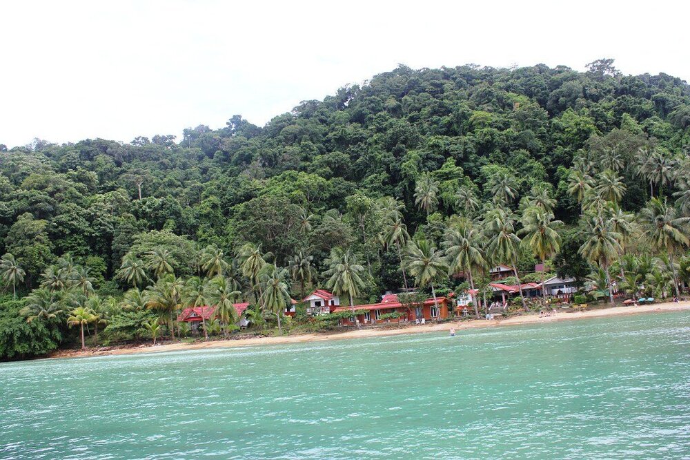 Изображение 2350.jpg