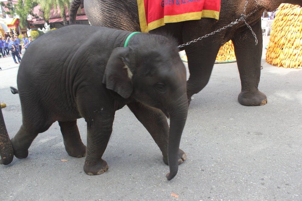 Изображение 1628.jpg