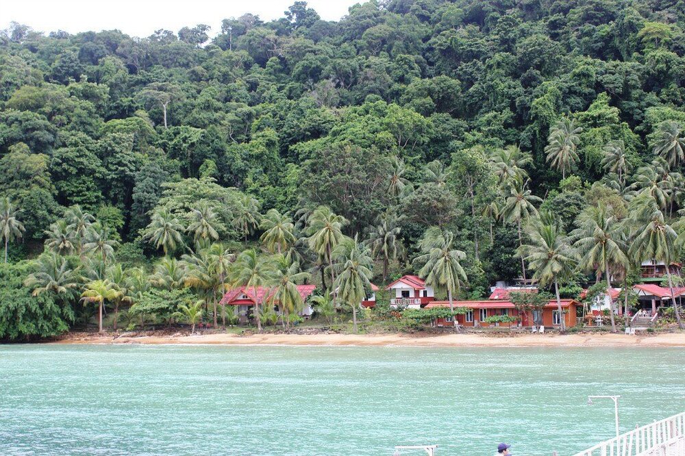 Изображение 2338.jpg