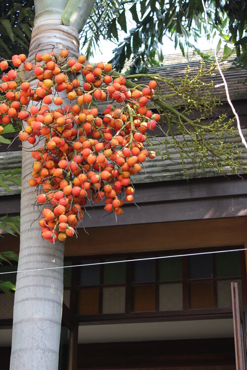 Изображение 2168.jpg