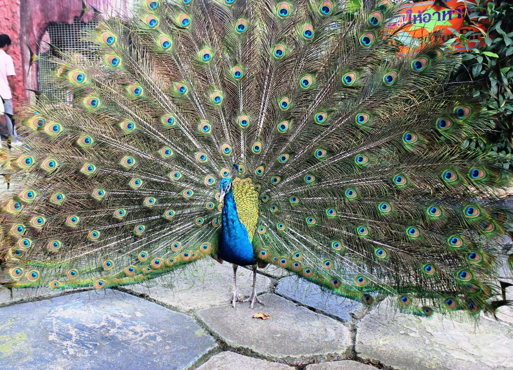 Изображение 1755.jpg