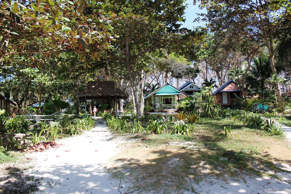 Изображение 2020.jpg