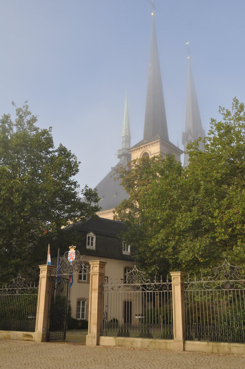 викинги (928).jpg