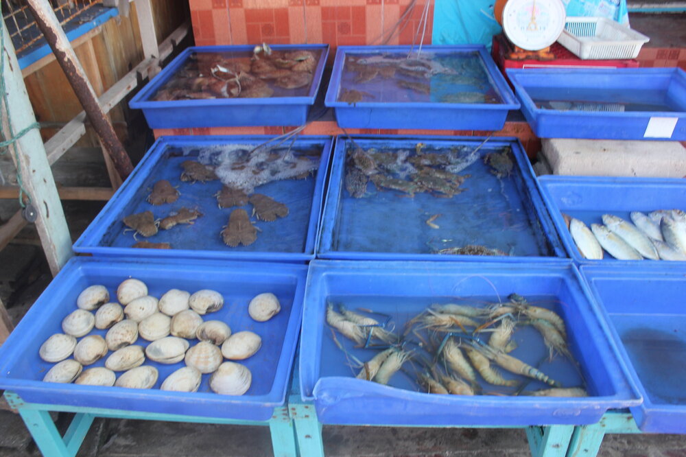 Изображение 1527.jpg