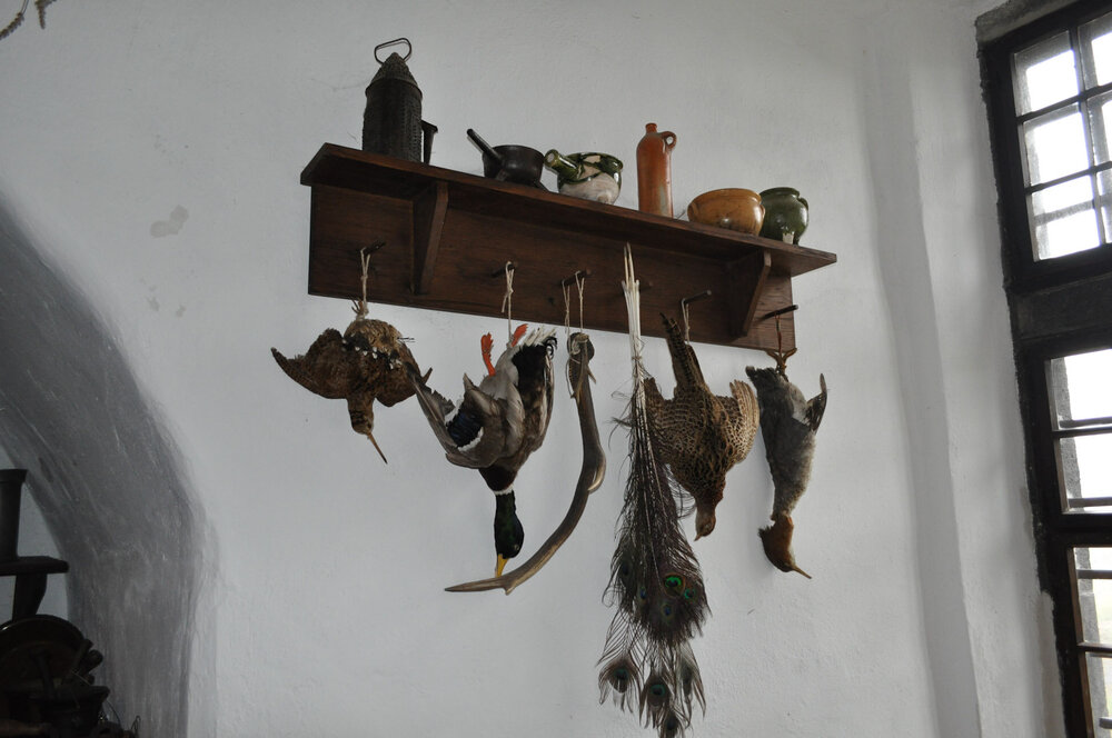 вояж 2013  (3805).jpg