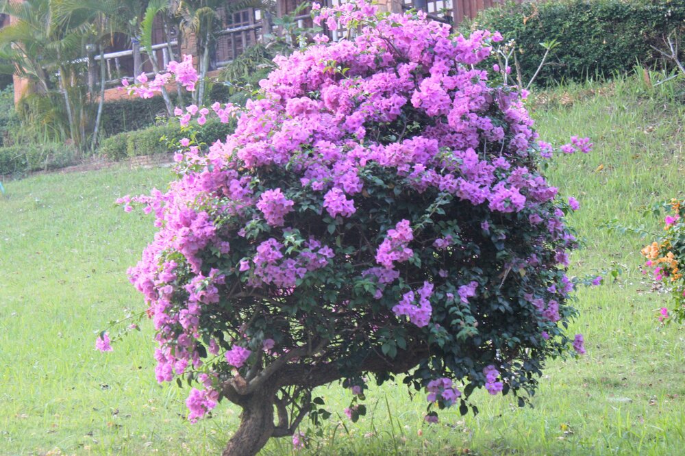 Изображение 1129.jpg