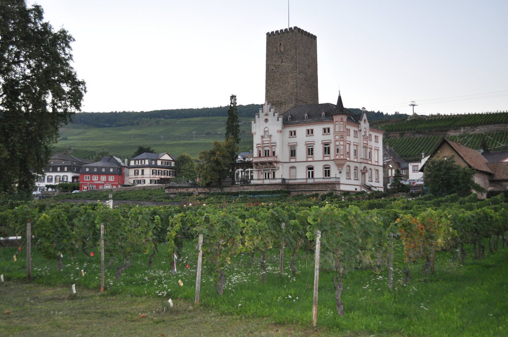 викинги (1311).jpg