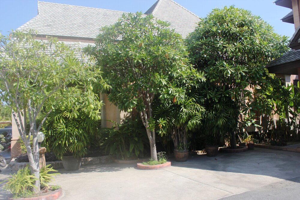 Изображение 1469.jpg