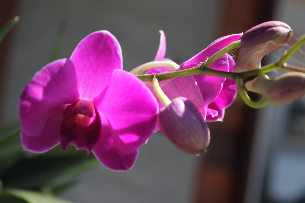 Изображение 2096.jpg