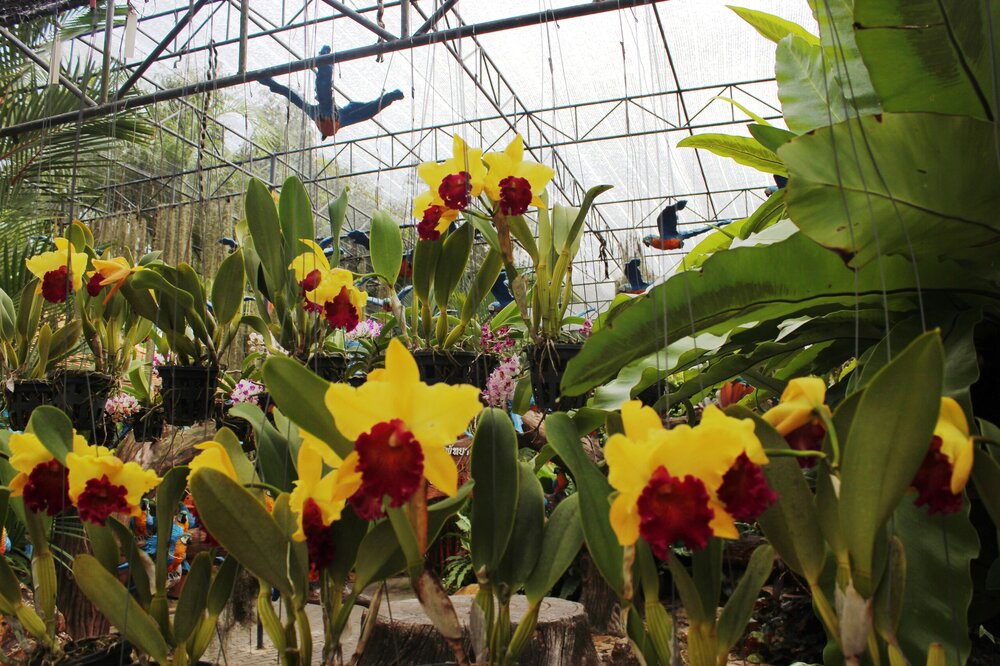 Изображение 1882.jpg