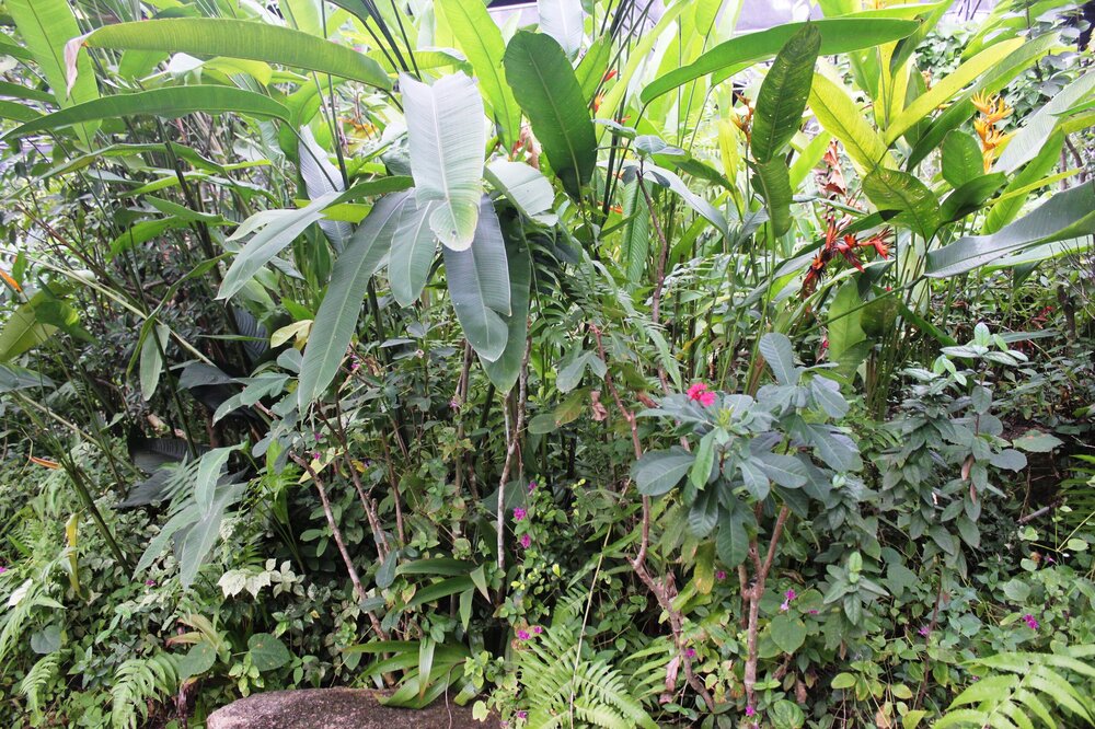 Изображение 1777.jpg