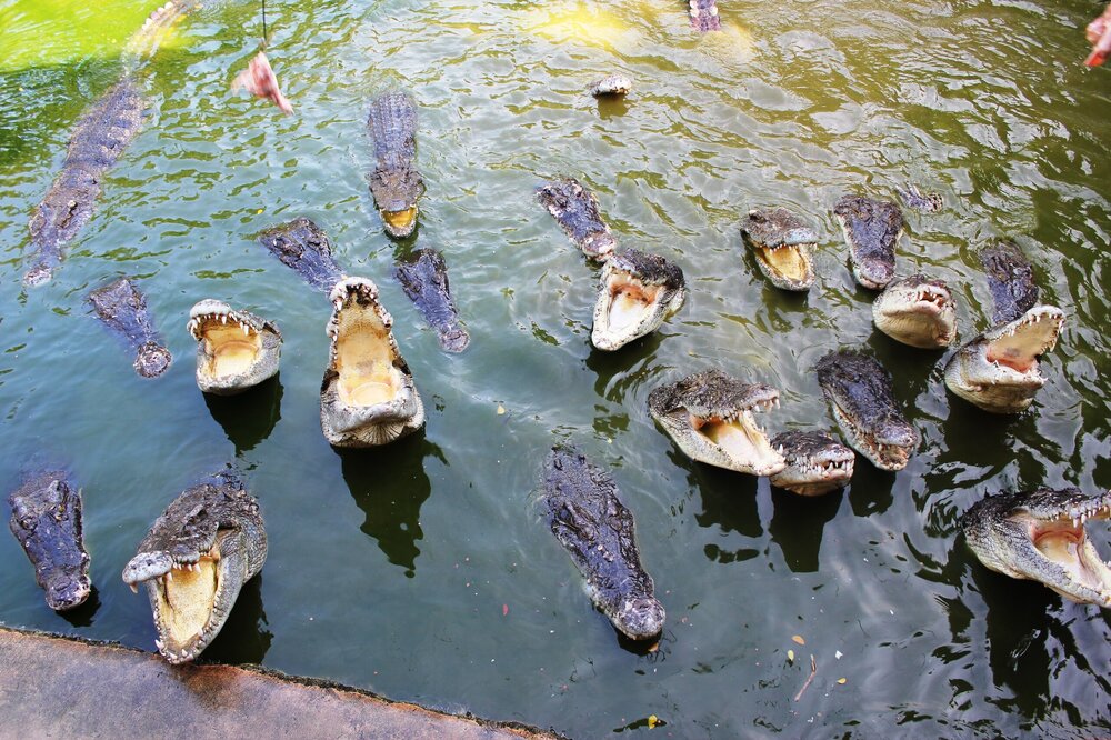 Изображение 537.jpg