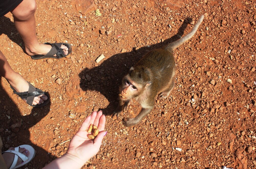 Изображение 1038.jpg