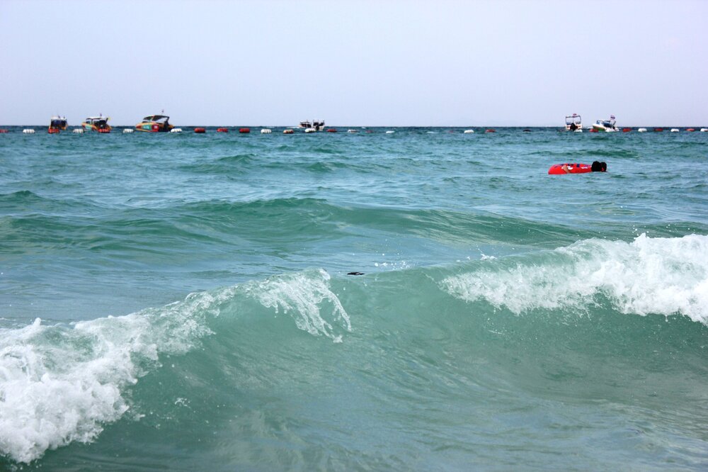 Изображение 1529.jpg