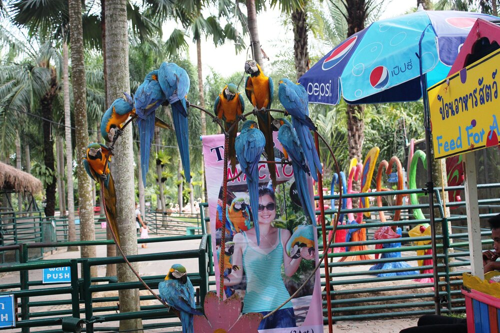 Изображение 1767.jpg