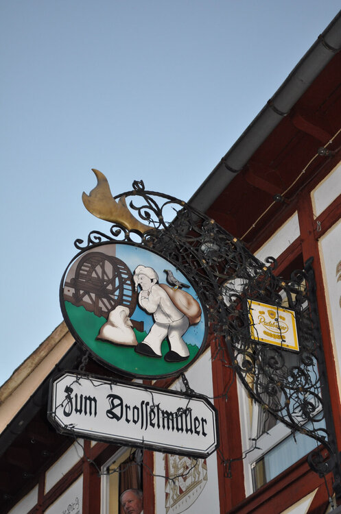 викинги (1279).jpg