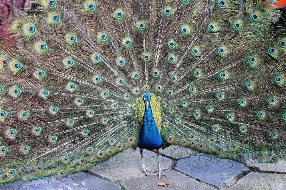 Изображение 1756.jpg