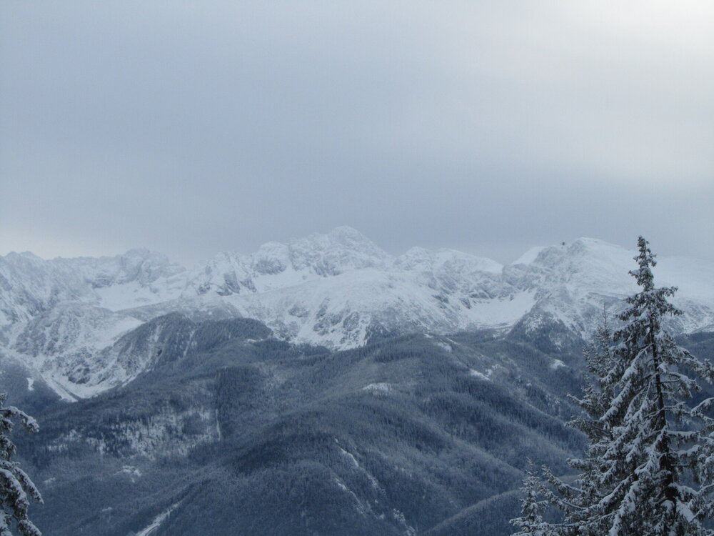 IMG_3658 - копия.jpg