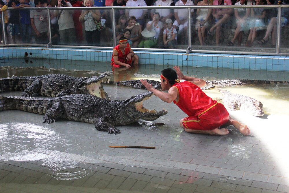 Изображение 652.jpg