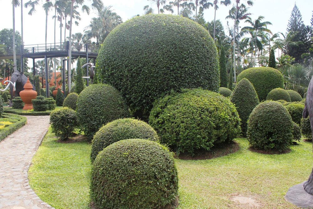 Изображение 1636.jpg