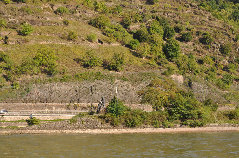 викинги (1212).jpg