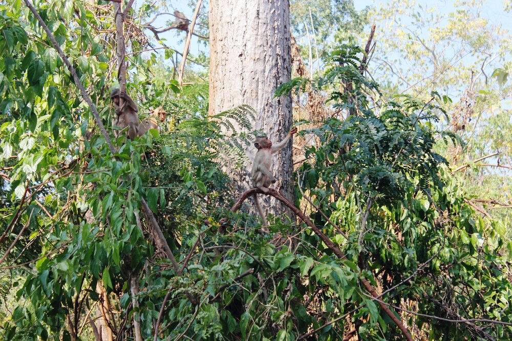 Изображение 1045.jpg