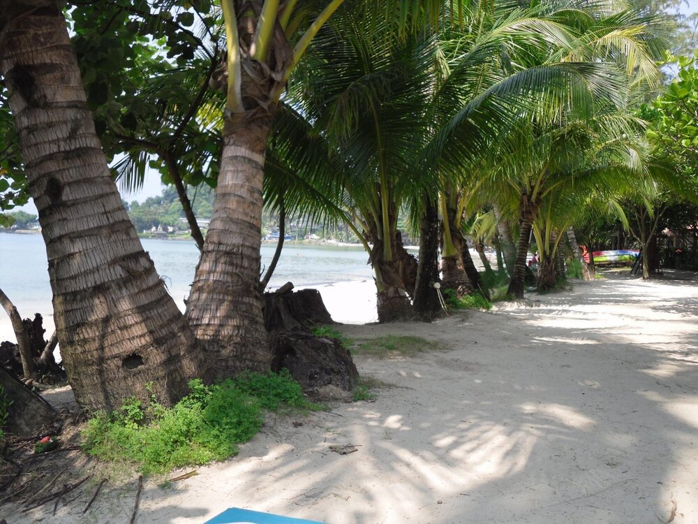 Изображение 2126.jpg