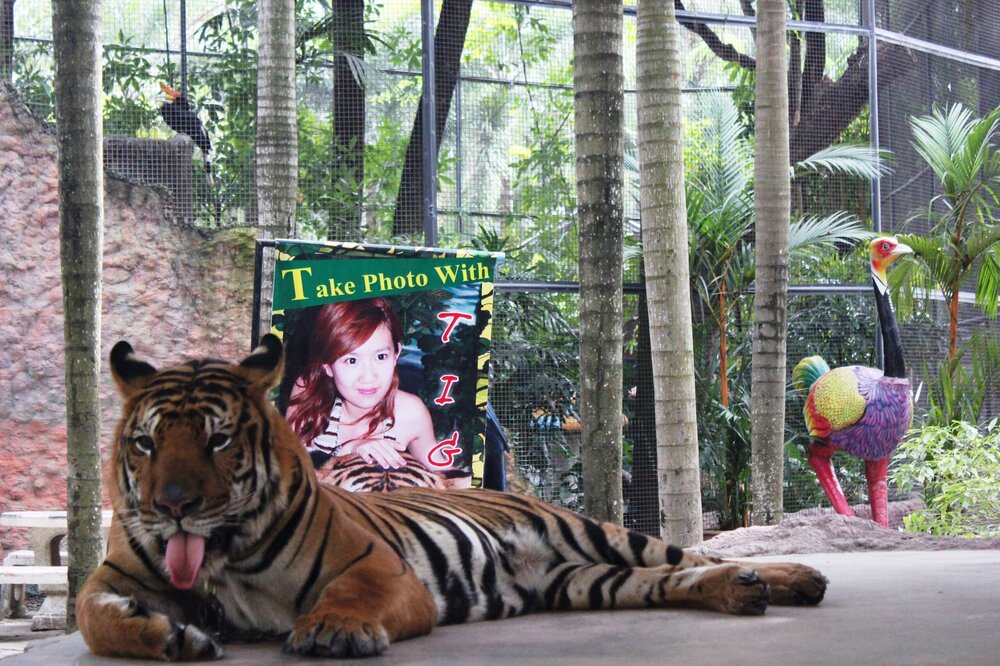 Изображение 1738.jpg