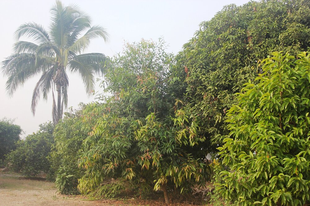 Изображение 1179.jpg