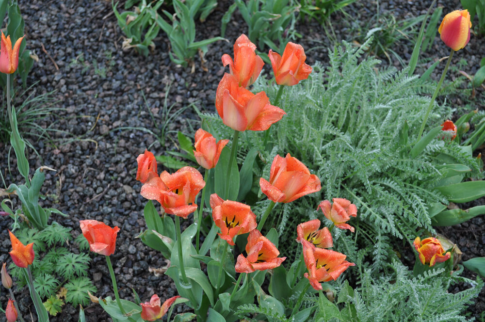 вояж 2013  (4139).jpg