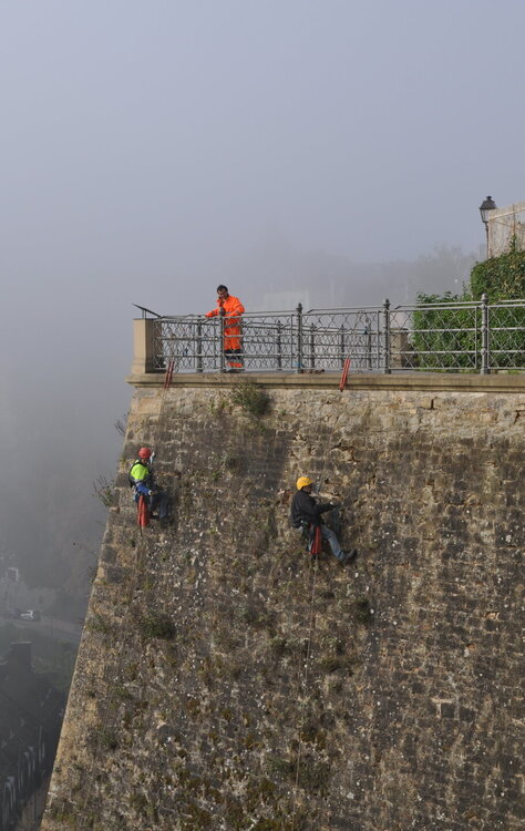 викинги (939).1.jpg