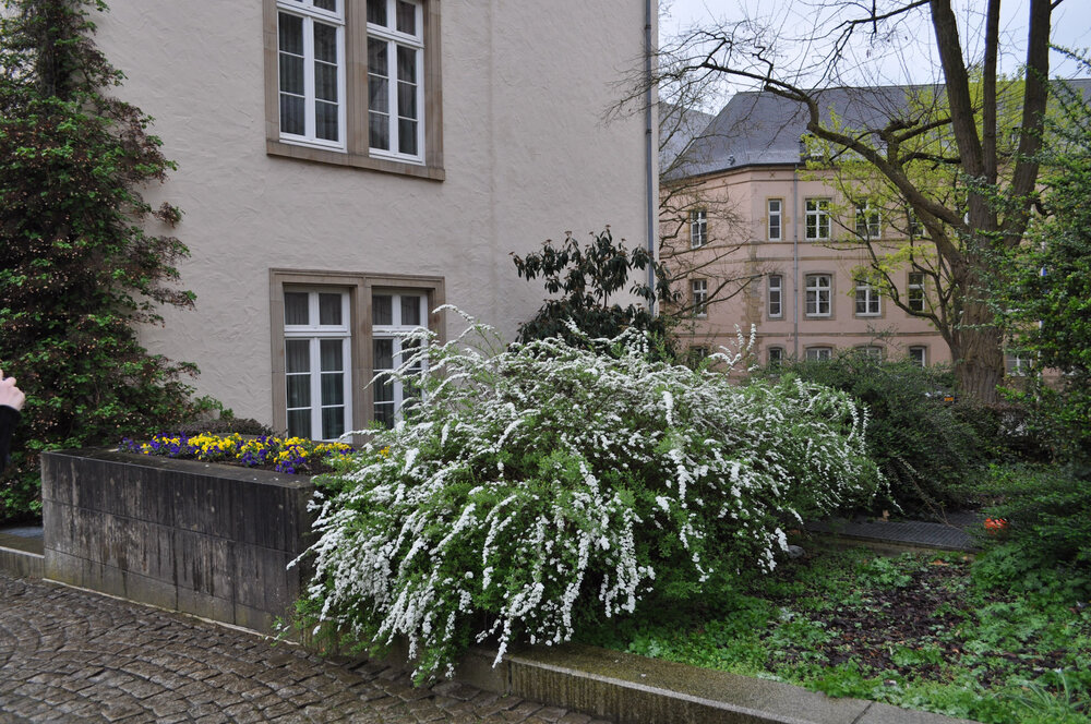 вояж 2013  (3565).jpg