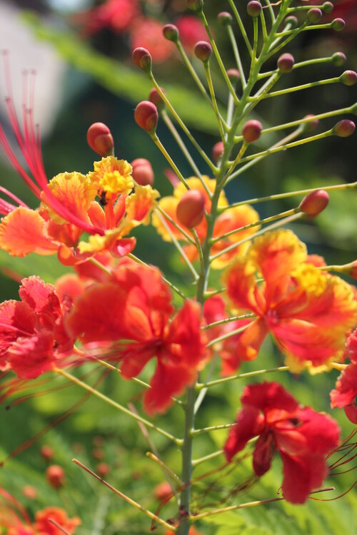 Изображение 2165.jpg