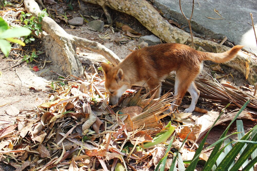 Изображение 2043.jpg