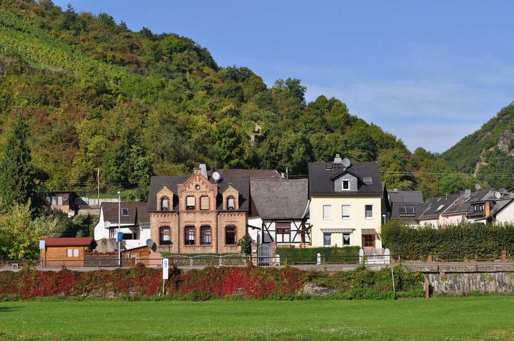 викинги (1120).jpg