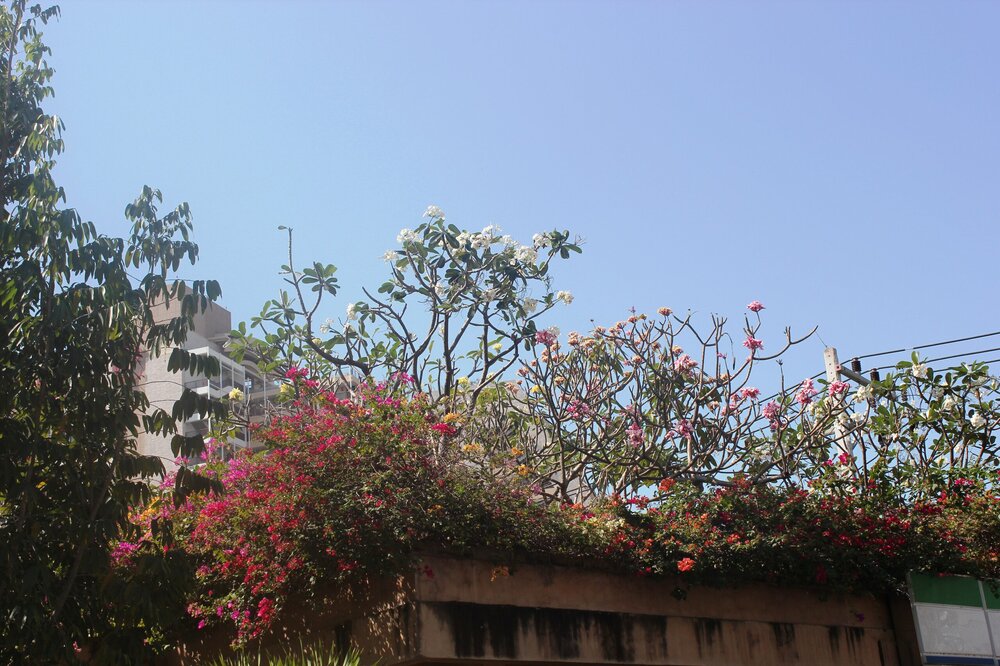 Изображение 1470.jpg