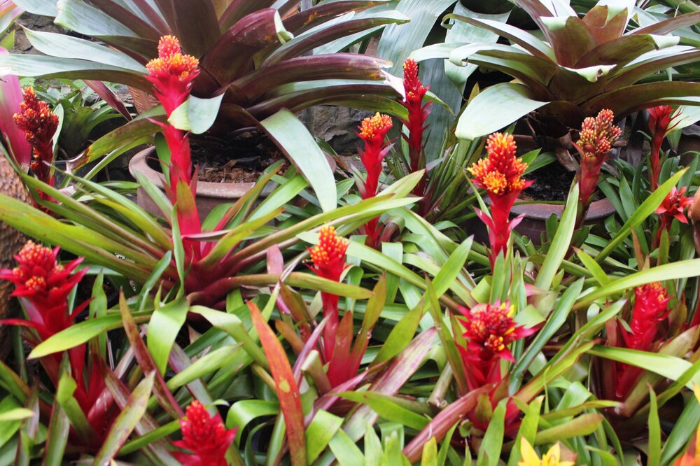 Изображение 1874.jpg