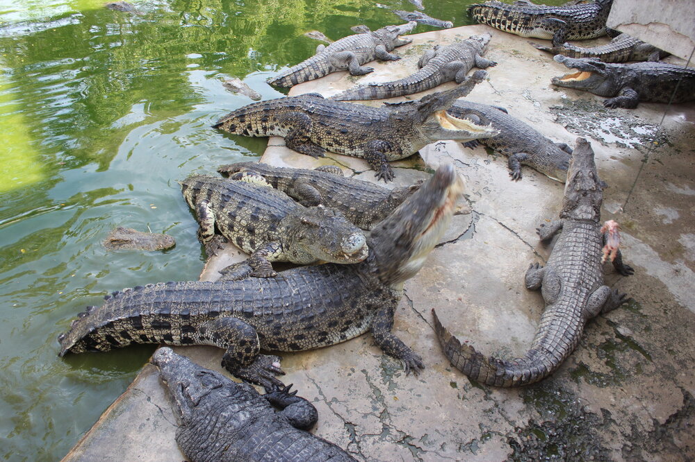 Изображение 544.jpg