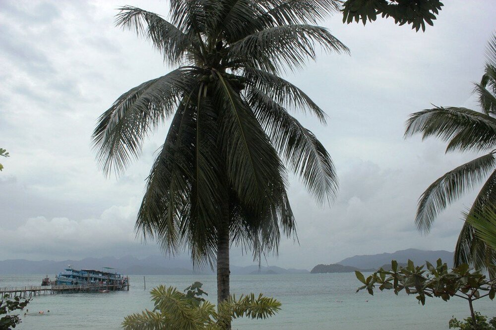 Изображение 2355.jpg