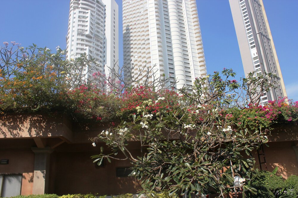 Изображение 1467.jpg