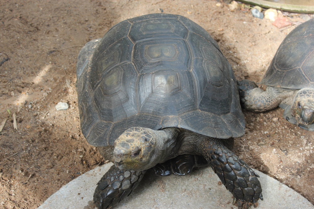 Изображение 1731.jpg