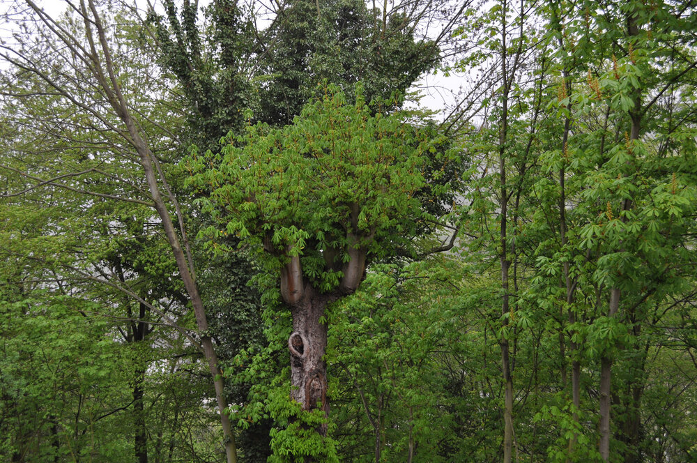 вояж 2013  (3772).jpg