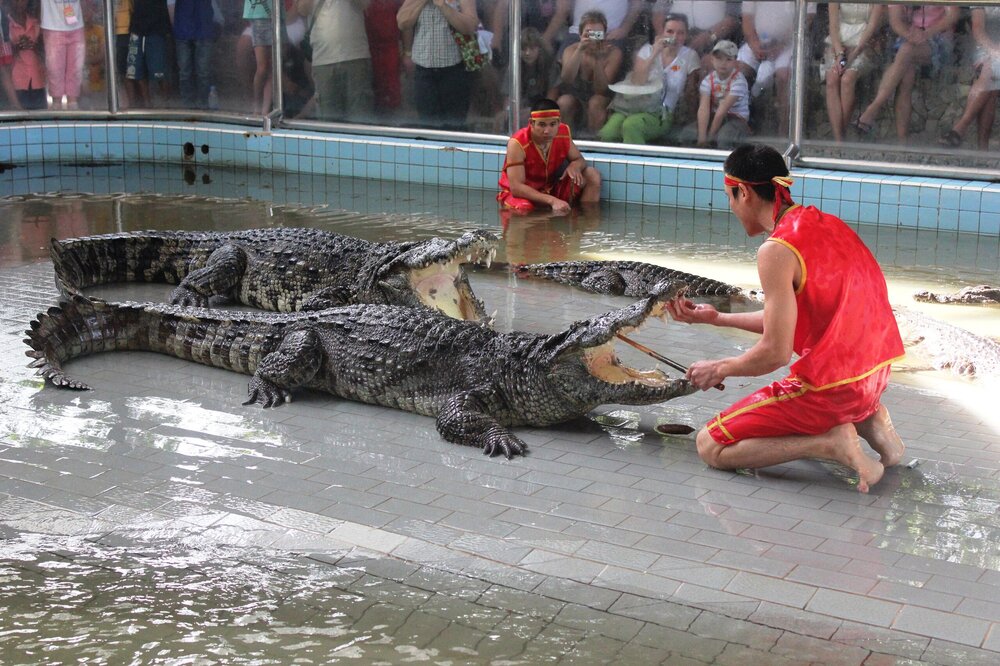 Изображение 643.jpg