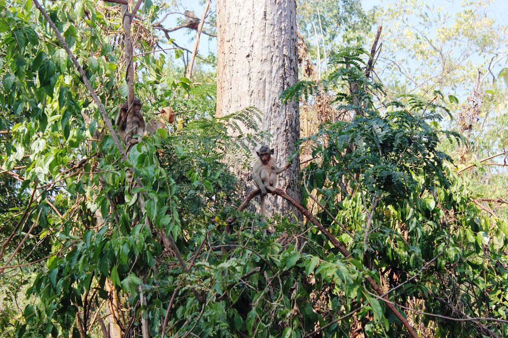 Изображение 1046.jpg