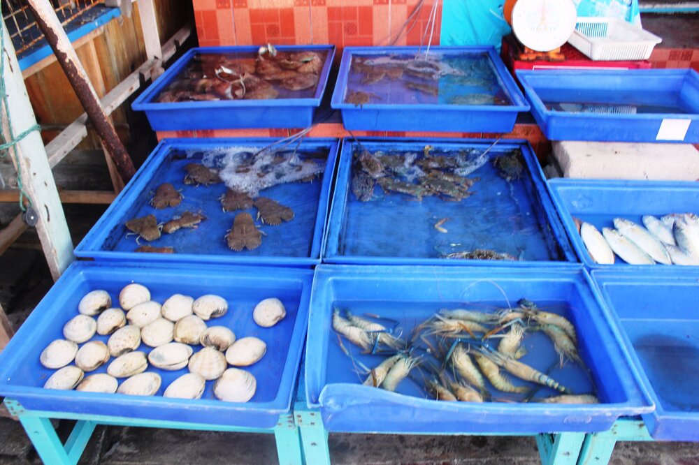 Изображение 1527.jpg