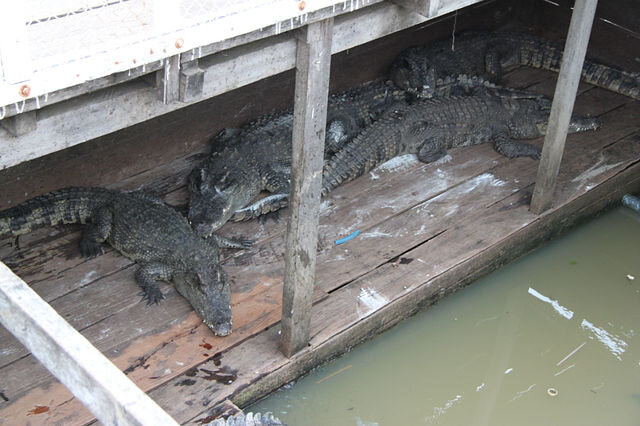 Изображение 179.jpg