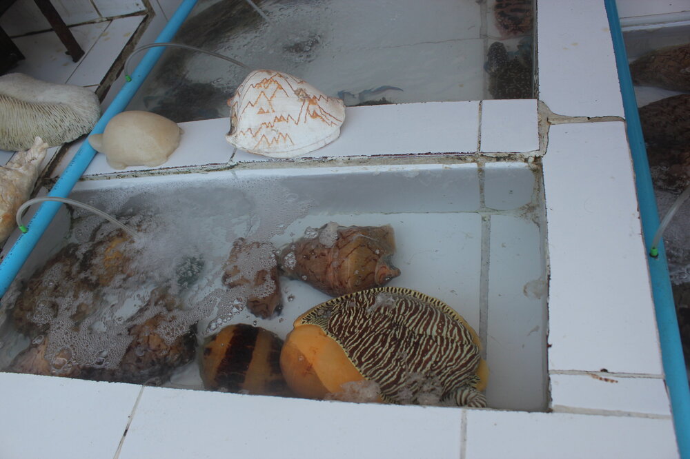 Изображение 1523.jpg